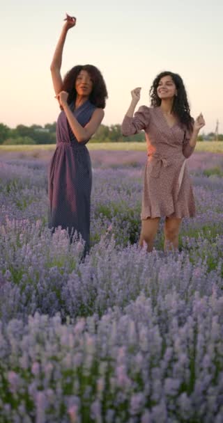 Vrouw diverse vrienden in lavendel veld op zonsondergang — Stockvideo