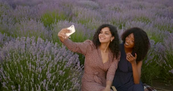 Vrouwelijke vrienden nemen selfie in lavendel veld — Stockvideo