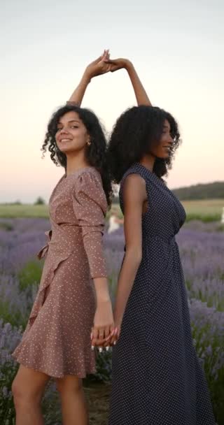 Femmina diversi amici nel campo di lavanda al tramonto — Video Stock