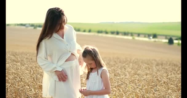 Belle jeune mère et sa fille s'amusent au champ de blé — Video