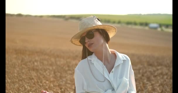 Belle jeune femme aux cheveux bruns sur le champ de blé d'été — Video