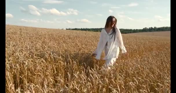 Молодая брюнетка в белой одежде ходит по пшеничному полю — стоковое видео