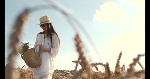 La fille enceinte avec un chapeau dans le champ de blé sur un coucher de soleil — Video