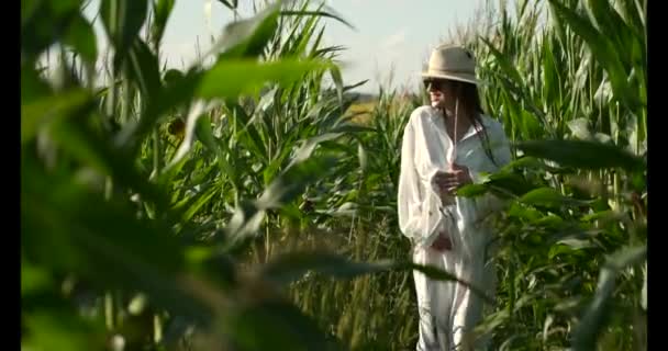 Kobieta w ciąży w białym kostiumie na zielonym polu — Wideo stockowe