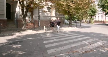 Bir adam ve bir kadın şehirde evcil hayvanlarıyla yürüyor.