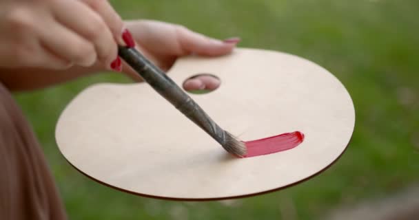 Kız sanatçı bir palet tutuyor ve doğada fırçayla resim yapıyor. — Stok video