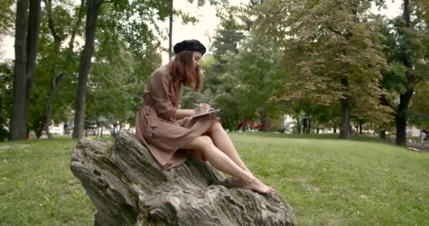 Girl artist sitting on a large stone in the park with a notebook in hand — Stock Video