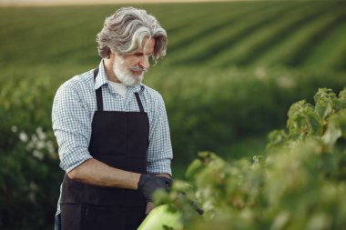 Kıdemli adam bahçesinde çiçeklerini suluyor.