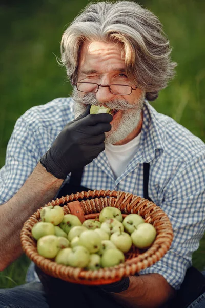 Senior med box grönsaker trädgård bakgrund sunse — Stockfoto