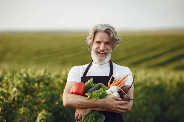 Senior con caja de verduras jardín fondo sunse —  Fotos de Stock