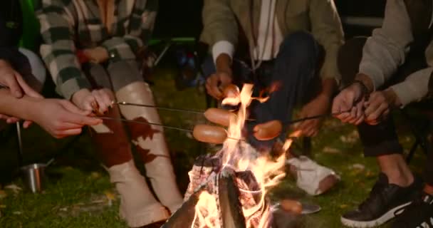 Vista de cerca de amigos asando salchichas por el fuego — Vídeos de Stock
