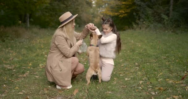 快乐的母亲和女儿和狗在一起玩 — 图库视频影像
