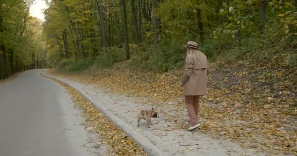 Bakifrån av kvinna promenader med hund i höstparken — Stockvideo