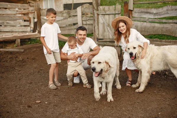 Famille mignonne jouant dans un champ d'été — Photo