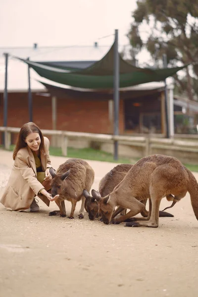 Woman at a reserve is playing with a kangaroo — Stock Photo, Image