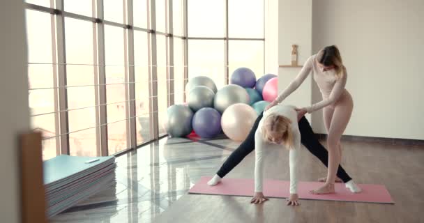 Pregnant woman and her personal trainer doing stretching exercises — Wideo stockowe