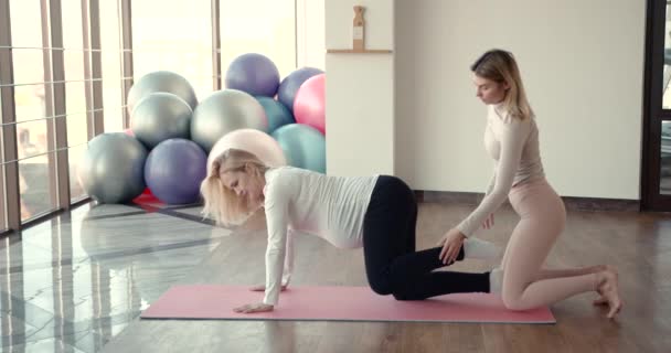 Pregnant woman and her personal trainer doing stretching exercises — Stock Video