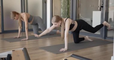 İki sağlıklı hamile kadın minderlerde yoga yapıyor.