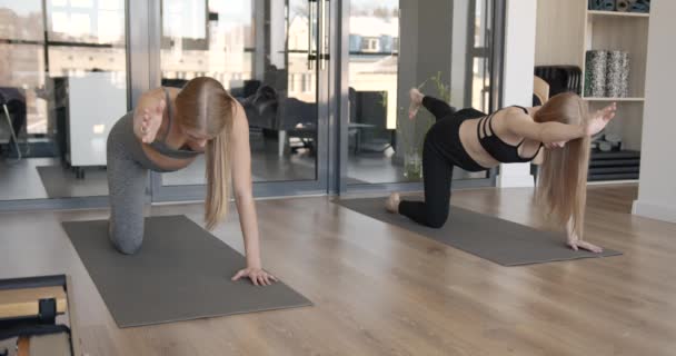 Two fit pregnant woman doing yoga on mats — Stock Video