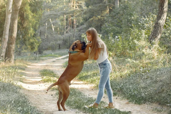 개와 놀고 있는 여름 숲의 소녀 — 스톡 사진