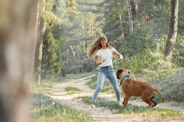 Yaz ormanındaki kız köpekle oynuyor.