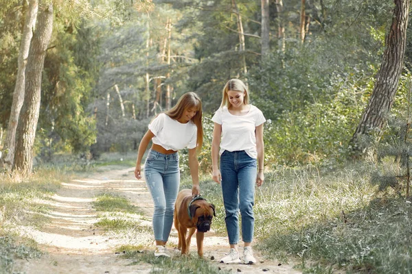 Yaz ormanındaki kız köpekle oynuyor.