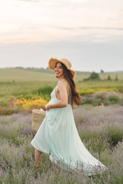 Provence 'lı kadın lavanta tarlasında dinleniyor. Hasır şapkalı kadın. Çantalı kız..