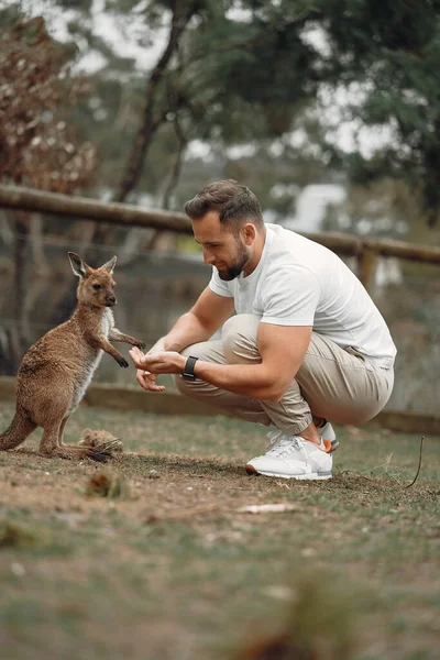 Man Reserve Australia Playing Feeding Kangaroos — Stock Photo, Image