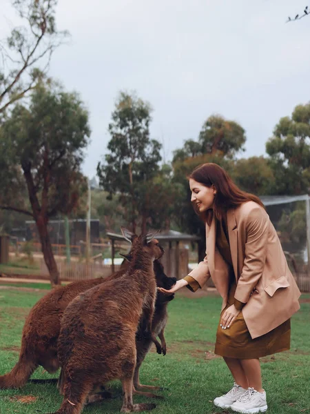 Yedek Kulübesindeki Kadın Avustralya Daki Insanlar Ünlü Bir Kanguruyla Oynuyor — Stok fotoğraf