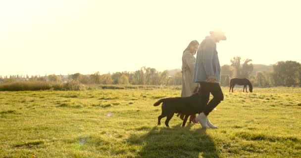 Milenci Chodí Psem Pastvině Koněm Slunečný Podzimní Den — Stock video