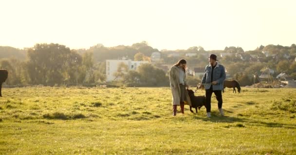 若いカップルは牧草地で犬と歩き 馬の後ろだ 秋晴れ — ストック動画