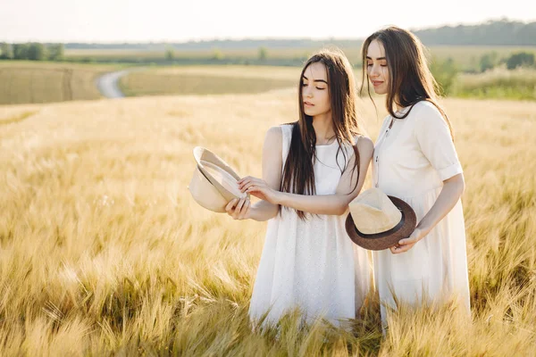 Buğday Tarlasında Iki Güzel Kız Kardeş Uzun Sağlıklı Saçları Olan — Stok fotoğraf