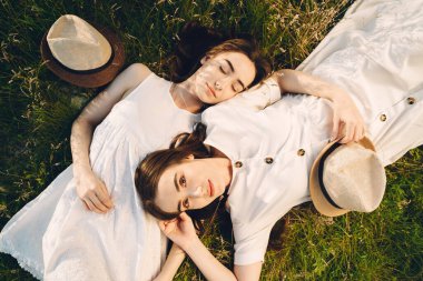 Buğday tarlasında iki güzel kız kardeş. Uzun, sağlıklı saçları olan iki güzel kız yazın doğanın tadını çıkarıyor..