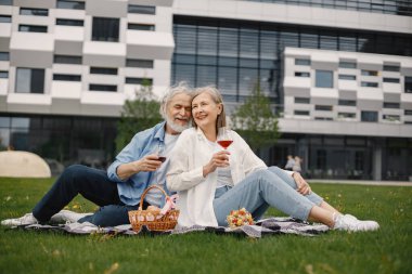 Yazın çimlerin üzerinde battaniyenin üzerinde oturan beyaz yaşlı bir çift. Kadın ve erkek şarap içiyor. Beyaz tişörtlü kadın ve mavi erkek..