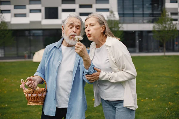 Caucasian elderly couple standing on a grass in summer. Man holding straw basket and they together blow the dandelion. Woman wearing white shirt and man blue one.