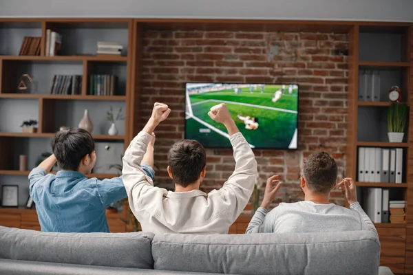 Bir futbol maçı izlemek için evde toplanan erkek arkadaşların arka görüntüsü. Erkekler büyük ekran televizyonun önünde kanepede oturuyor. Erkekler en sevdikleri takımı destekliyor ve maç hakkında yorum yapıyorlar.