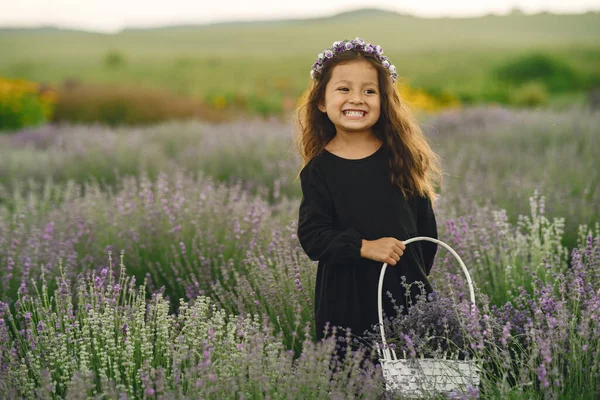 Provence Child Relaxing Lavender Field Little Lady Black Dress Girl — Zdjęcie stockowe