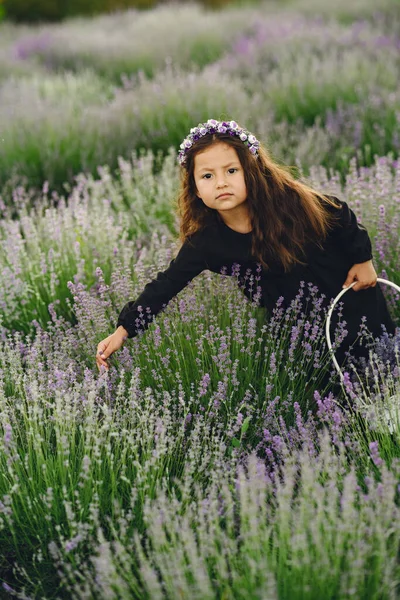 Provence Criança Relaxando Campo Lavanda Uma Senhora Vestido Preto Menina — Fotografia de Stock