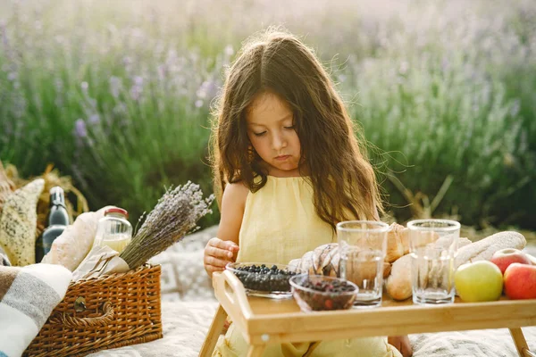Provence Child Relaxing Lavender Field Little Girl Picnic — Foto Stock