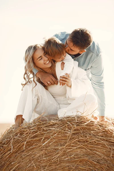 Família Brincando Com Filhote Campo Trigo Pôr Sol Conceito Férias — Fotografia de Stock