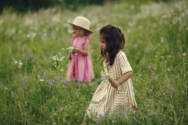 Kind Auf Einem Sommerfeld Kleines Mädchen Einem Süßen Kleid — Stockfoto