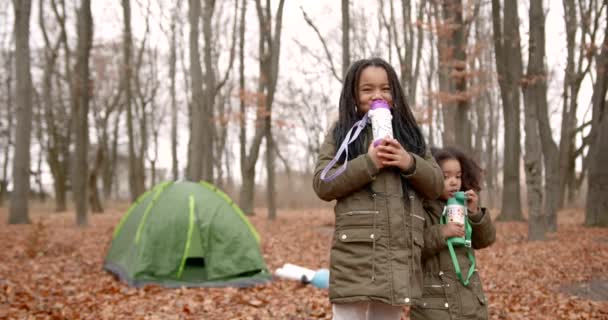 Two Little Girls Throw Autumn Leaves Forest Children Playing Autumn — Stok Video