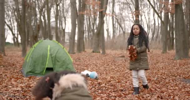 Two Little Girls Throw Autumn Leaves Forest Children Playing Autumn — ストック動画