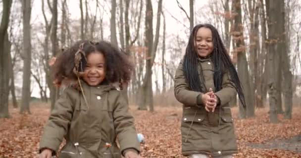 Two Little Girls Throw Autumn Leaves Forest Children Playing Autumn — Vídeo de stock