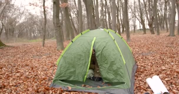 Autumn Day Forest Two Girls Walking Leaves Playing Tent Camping — Video Stock