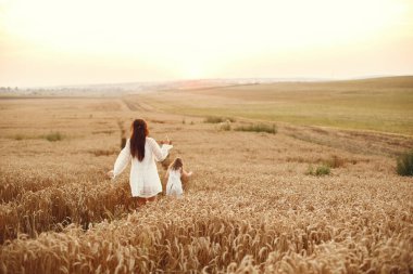 Yaz tarlasında bir aile. Şehvetli bir fotoğraf. Sevimli küçük kız. Beyaz elbiseli kadın..