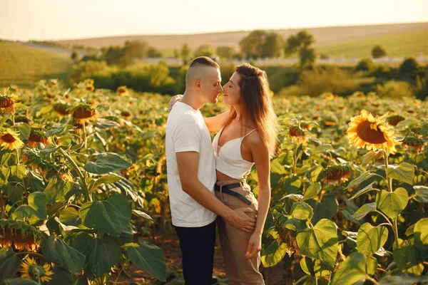 Young Loving Couple Kissing Sunflower Field Portrait Couple Posing Summer — Fotografia de Stock