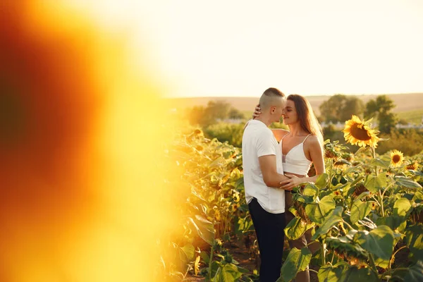 Young Loving Couple Kissing Sunflower Field Portrait Couple Posing Summer — Stock Photo, Image