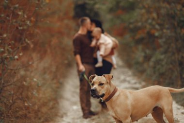 Küçük tatlı kızı olan bir aile. Kahverengi kazaklı baba. Sonbahar tarlasında köpekli bir aile.