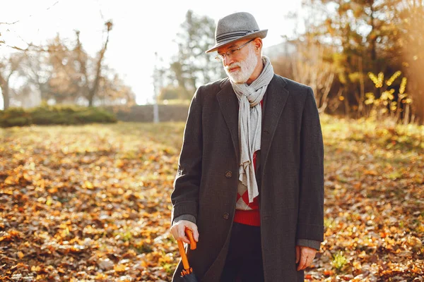 Красивый Дедушка Осеннем Парке Старик Серой Куртке Шляпе — стоковое фото